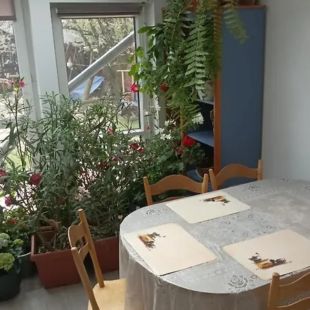 Agroturystyka Pod Kogutem Zamosc  Exterior photo