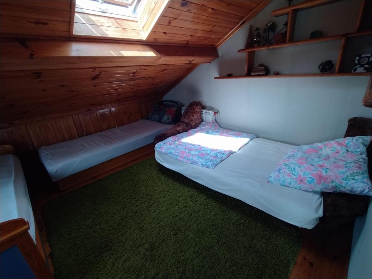 Pod Kogutem * Zamość