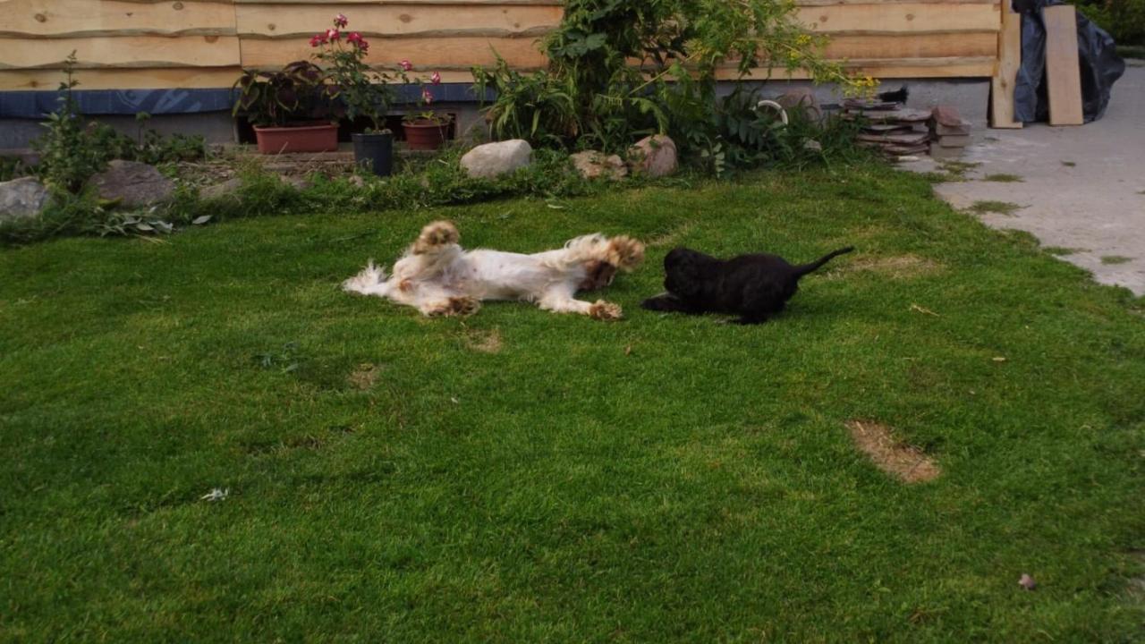 Pod Kogutem Farm stay *