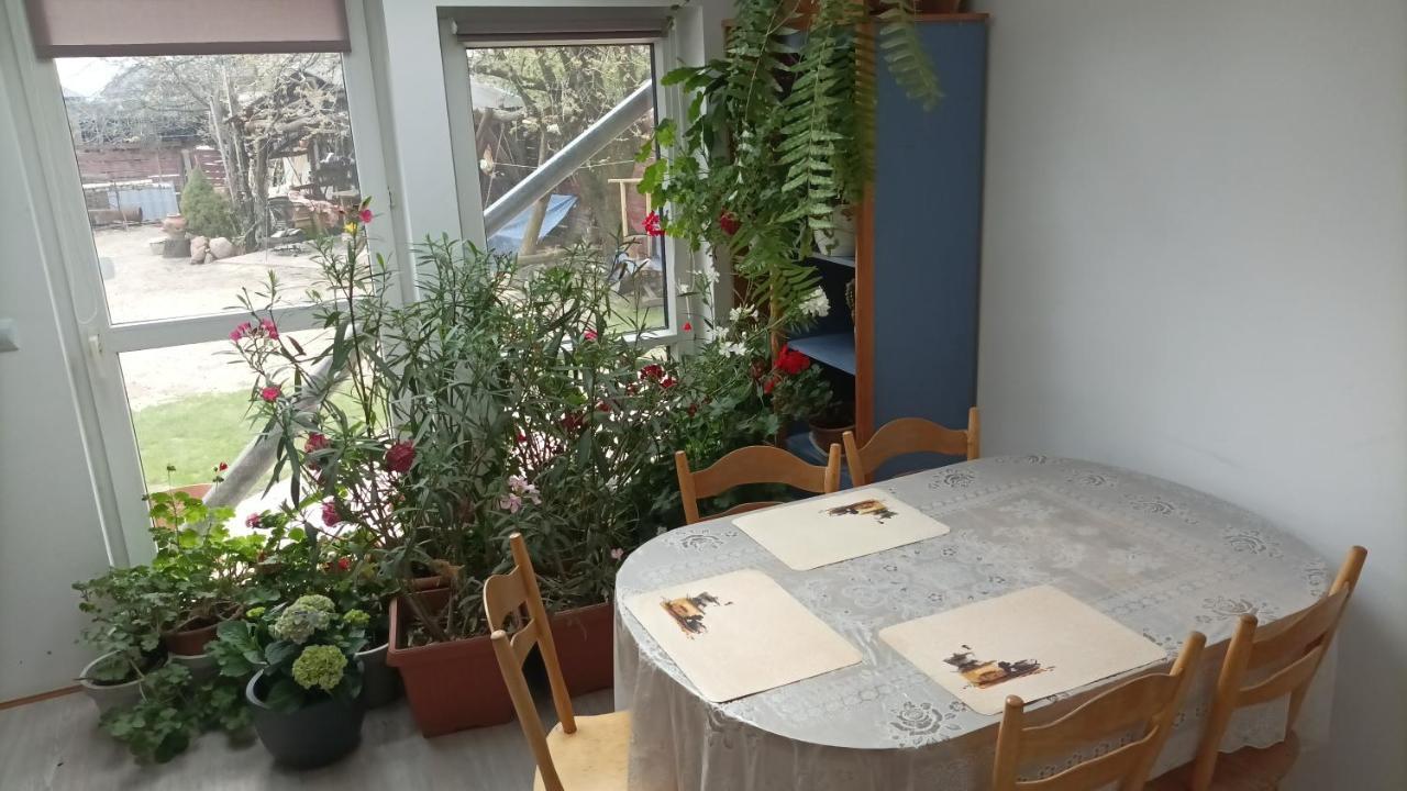 Pod Kogutem Zamość