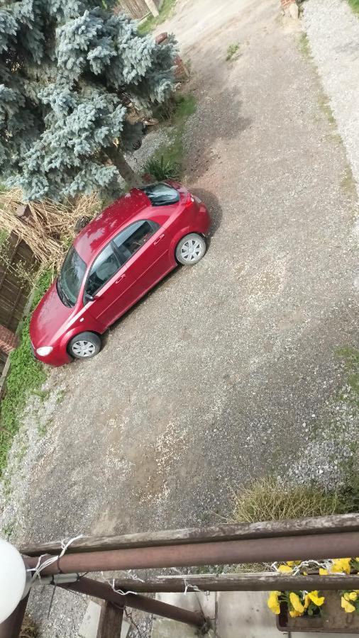 Pod Kogutem * Zamość